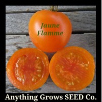 Tomato - Jaune Flamme - Organic